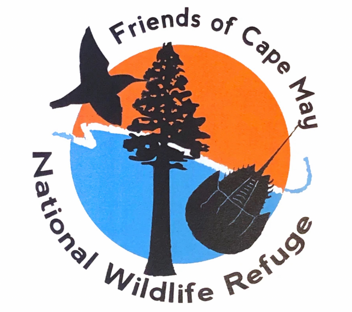 Cape May National Wildlife Refuge - Two Mile Beach Unit