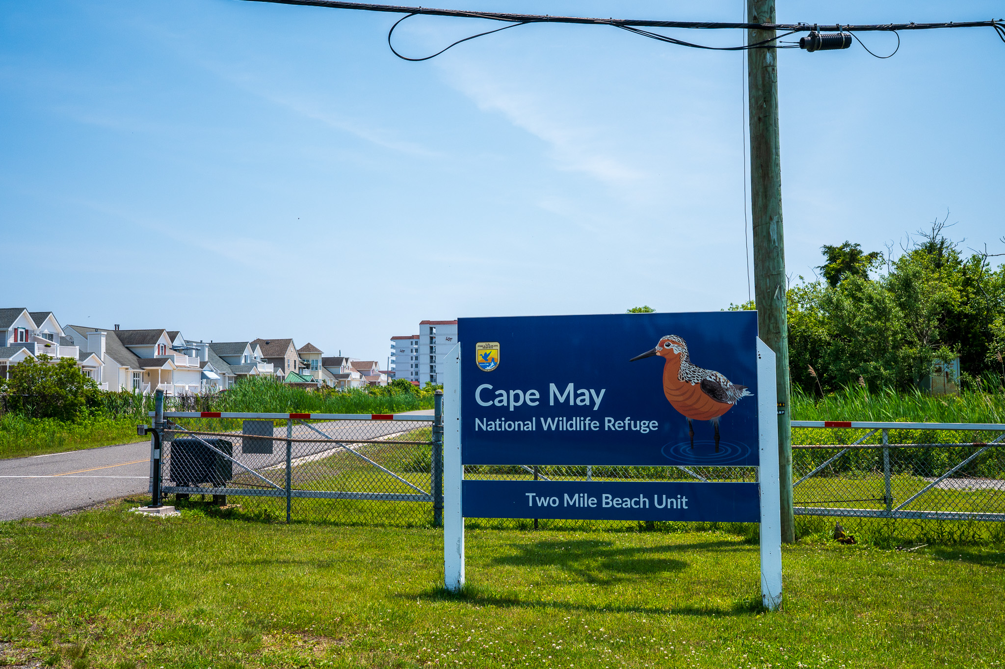 Cape May National Wildlife Refuge - Two Mile Beach Unit