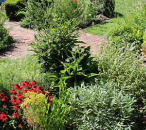 Garden-Tour-Header-from their page