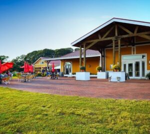willow creek winery