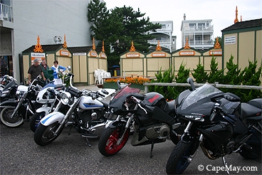 Hogs come to Cape May