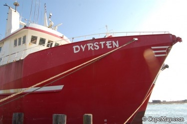 dyrstensm