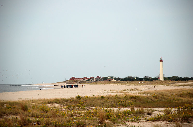 Early morning birders at the Point