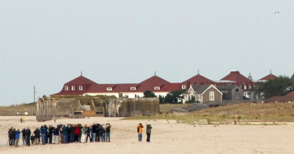 Early group at the Cove. Birders maybe?