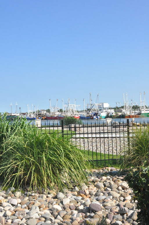 Harbor View Cape May Picture of the Day