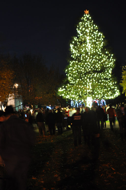 MidAtlantic Center for the Arts & Humanities’ tree lighting Cape May