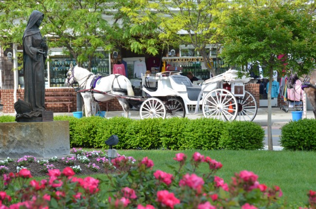 Picturesque Cape May