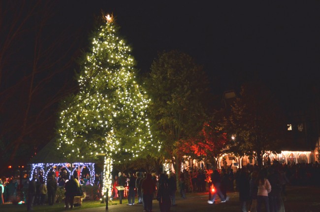 The Mid-Atlantic Center’s tree is lit