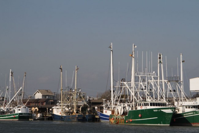 Alongside the Wharf