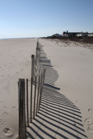 Shadows on the Beach