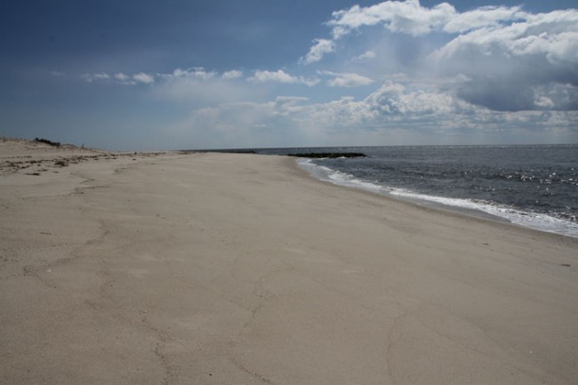 Cape May Point Beach