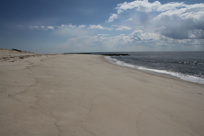 Cape May Point Beach