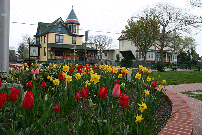 Spring Blooms in Wilbraham Park