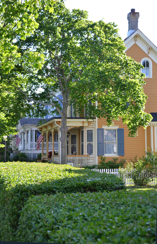 On Hughes Street Cape May Picture of the Day