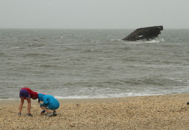 Looking for Cape May Diamonds