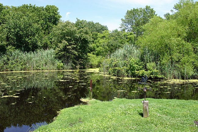 Quiet respite at Coldspring Campgrounds, New England Road