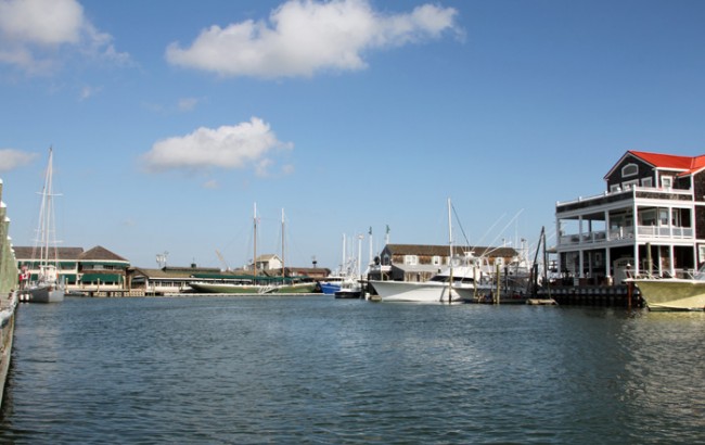 Along the dock