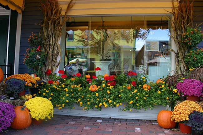 Fall arrives at Gallery D’May