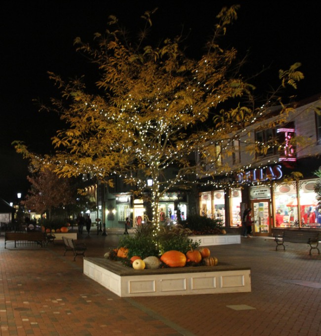 Night shopping Cape May Picture of the Day