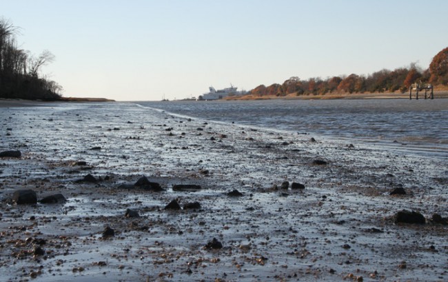 low tide