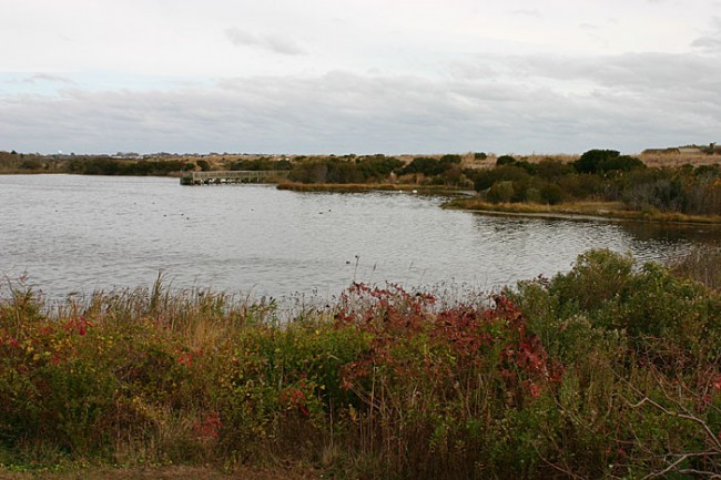 View from the Hawk Watch