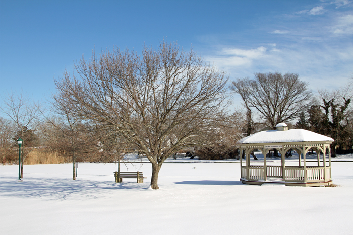 Snow Day