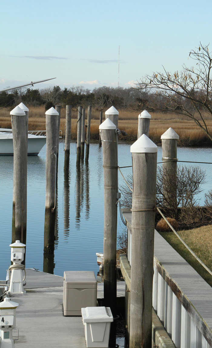 Along the docks