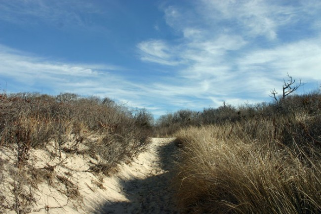 Pathway to Higbee Beach