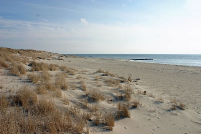 Peaceful Afternoon at Brainard Beach