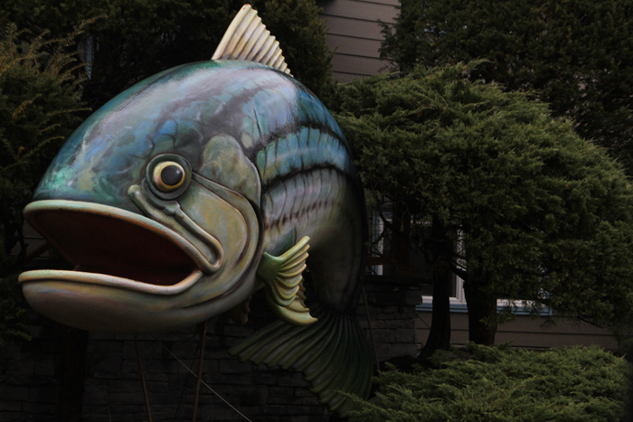Anybody know where Mr. Fish lives?