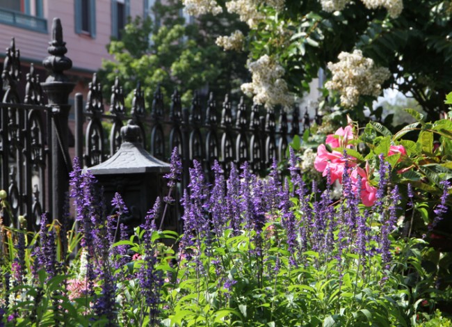 The Christopher Gallagher House