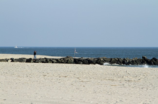 Love Cape May