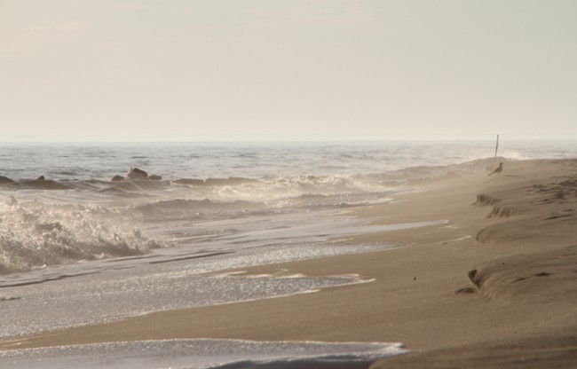 Lone beach goer