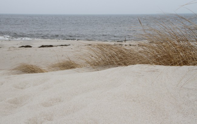 Dunes at the Point