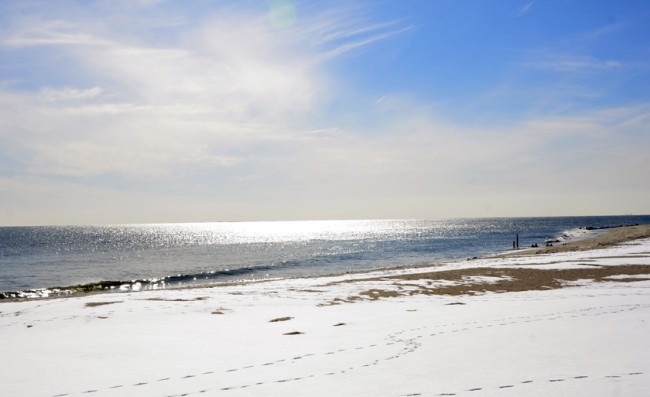 February28-2015web