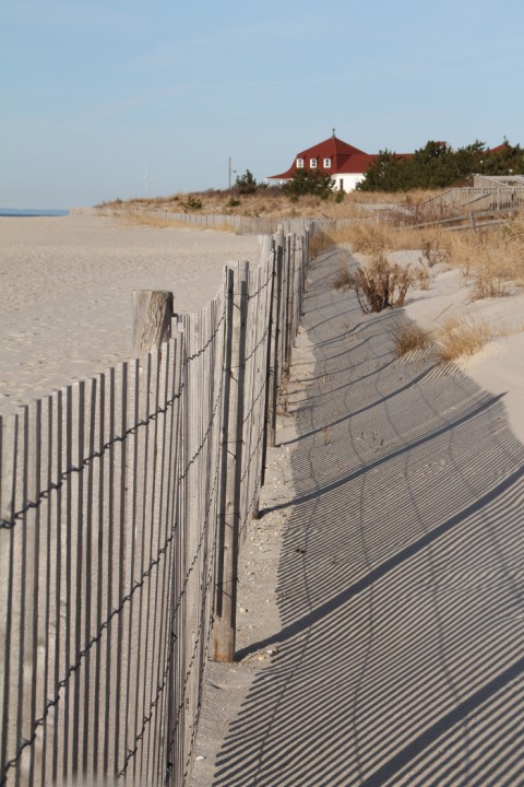 Morning Shadows