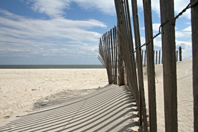 Along the Dunes