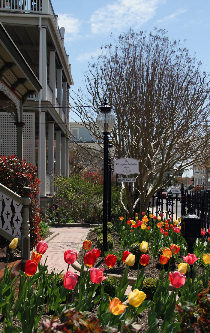 Glorious Gallagher Garden