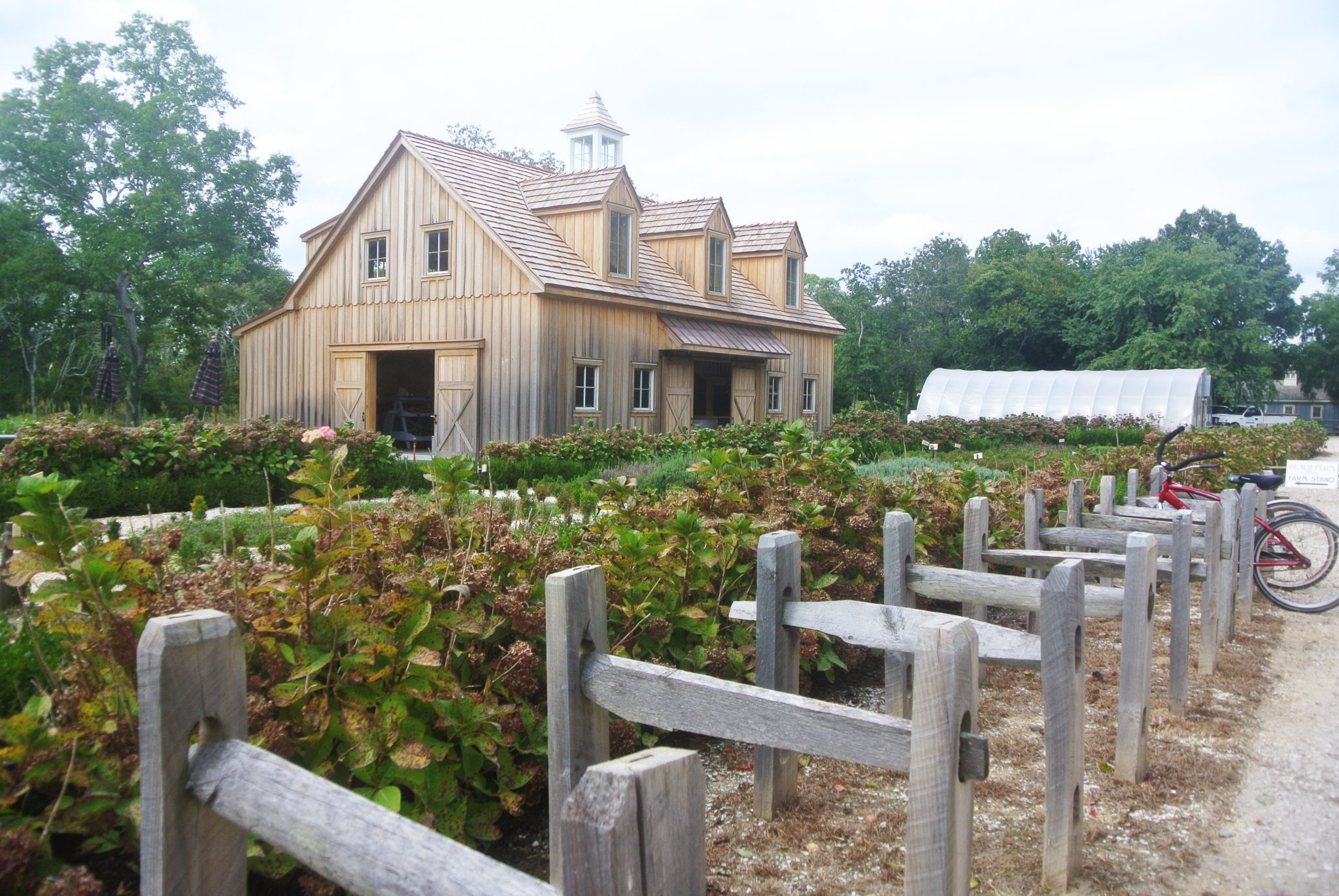 Fall Colors at Beach Plum Farm Cape May Picture of the Day