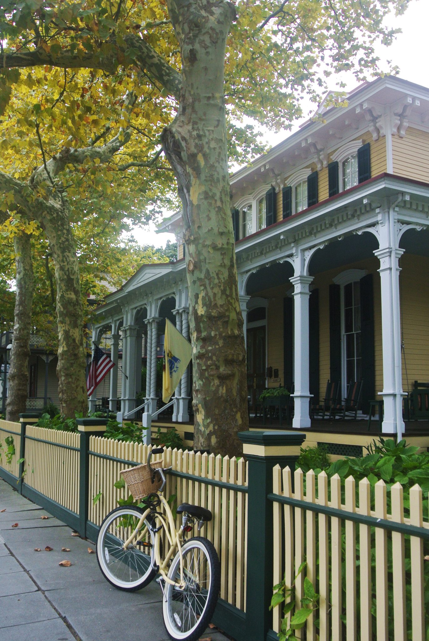 Leaves Changing at the Mainstay