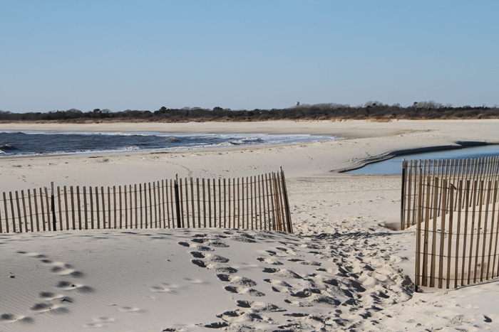 Footprints in the sand