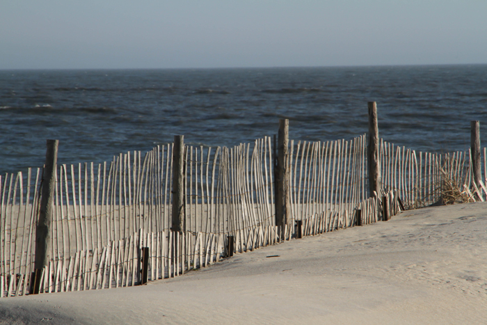 Dunes at Poverty