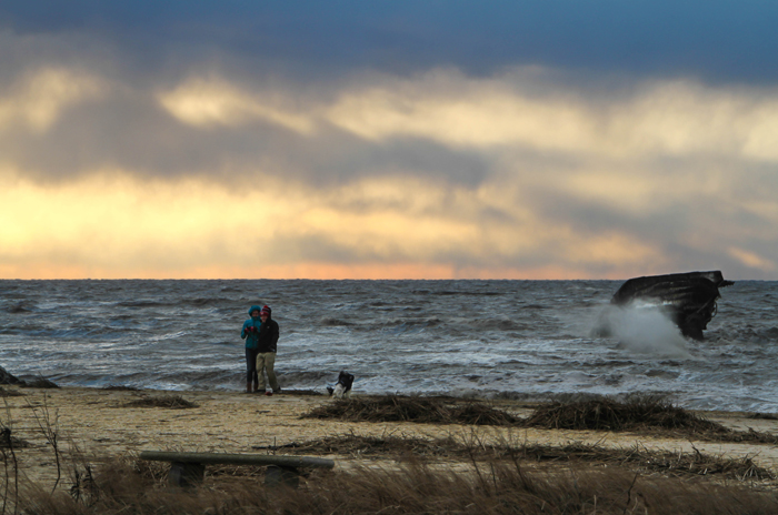 Love Cape May