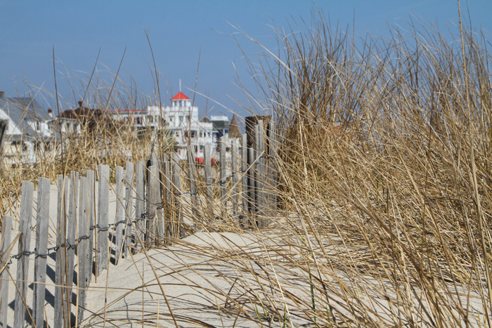 Along the dunes