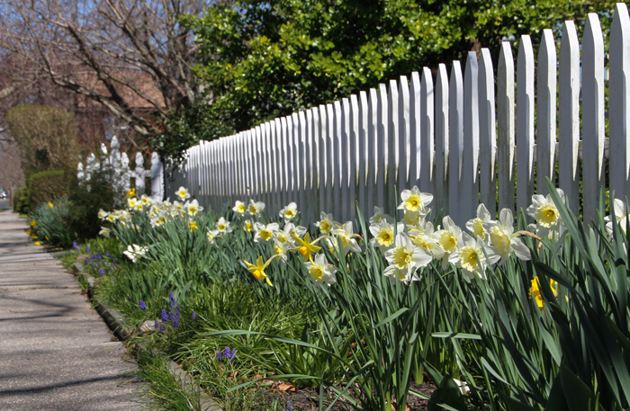 Flowers on Washington Street