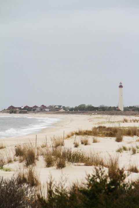 Looking over the dunes