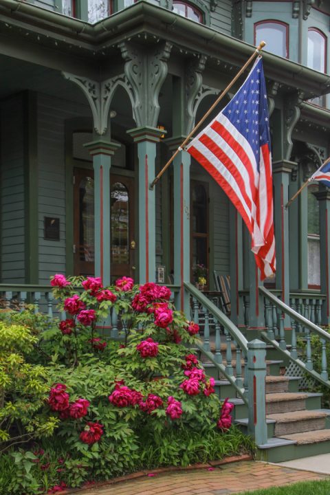 Stars and Stripes and Flowers