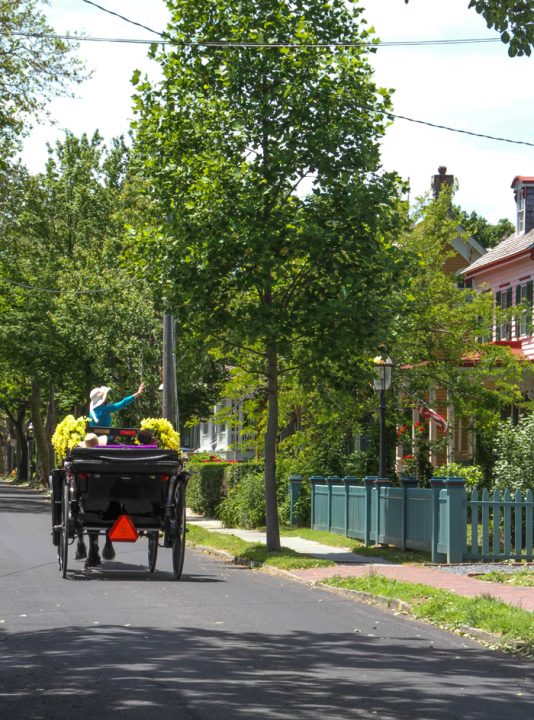 Horse & Carriage