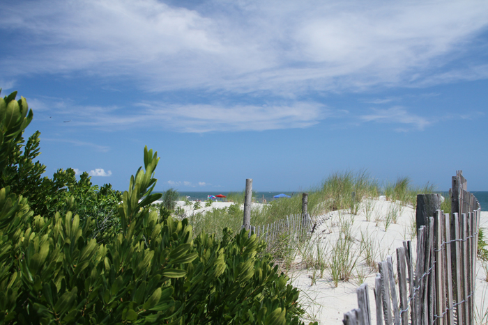 Along the dunes