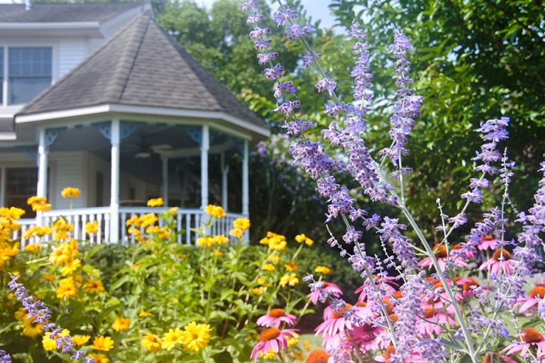 Home Gardens of Cape May Cape May Picture of the Day
